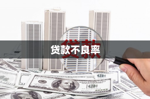 白碱滩贷款不良率