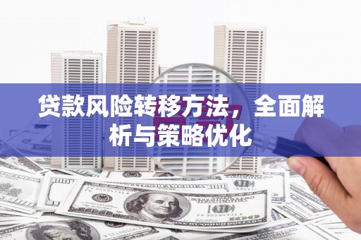 白碱滩贷款风险转移方法，全面解析与策略优化
