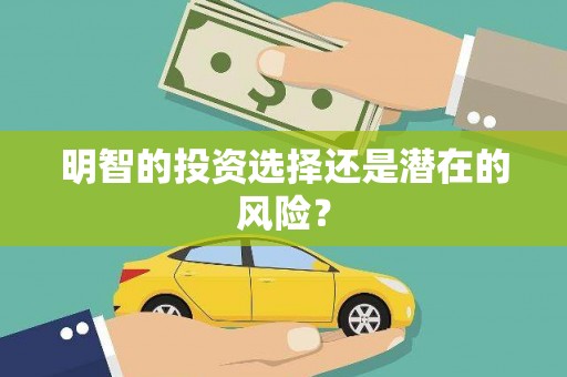 白碱滩明智的投资选择还是潜在的风险？