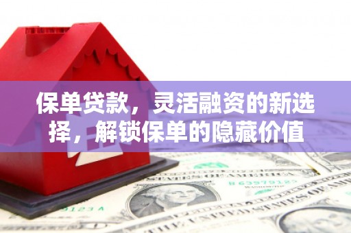 白碱滩保单贷款，灵活融资的新选择，解锁保单的隐藏价值