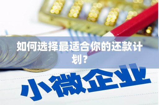 白碱滩如何选择最适合你的还款计划？