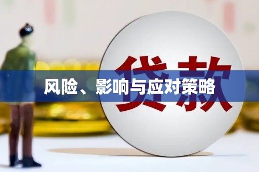 白碱滩风险、影响与应对策略