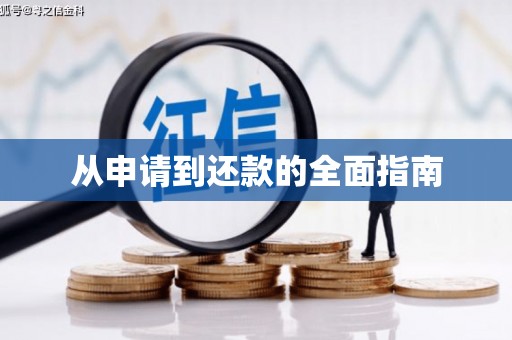 白碱滩从申请到还款的全面指南