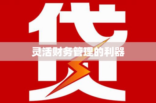 白碱滩灵活财务管理的利器