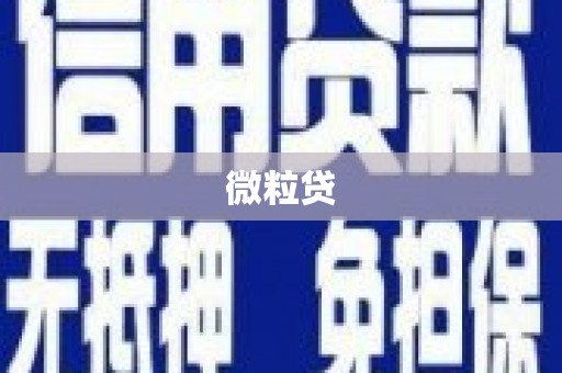 白碱滩微粒贷