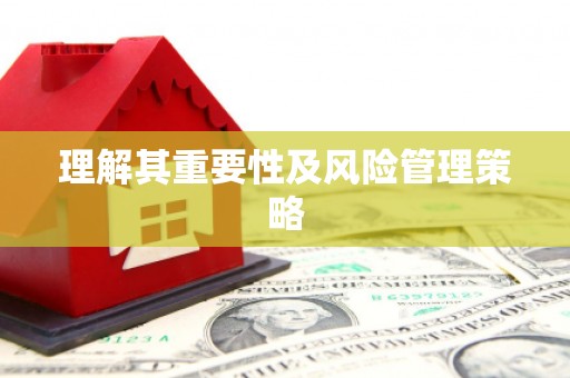 白碱滩理解其重要性及风险管理策略