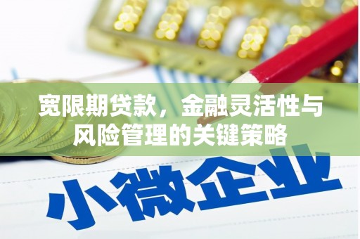 白碱滩宽限期贷款，金融灵活性与风险管理的关键策略