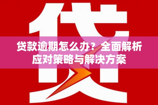 白碱滩贷款逾期怎么办？全面解析应对策略与解决方案