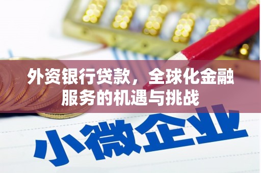 白碱滩外资银行贷款，全球化金融服务的机遇与挑战
