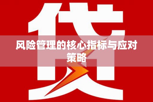 白碱滩风险管理的核心指标与应对策略