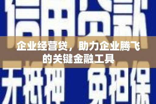 白碱滩企业经营贷，助力企业腾飞的关键金融工具