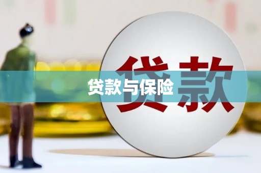 白碱滩贷款与保险