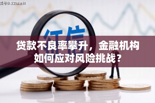 白碱滩贷款不良率攀升，金融机构如何应对风险挑战？