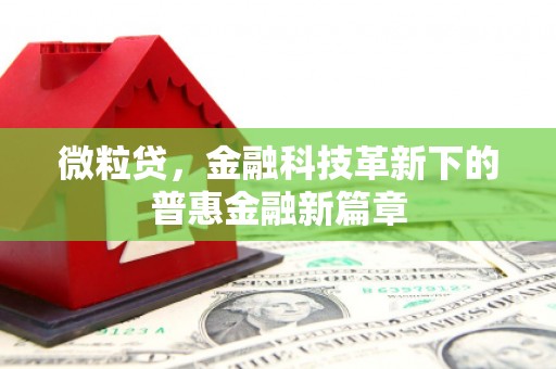白碱滩微粒贷，金融科技革新下的普惠金融新篇章