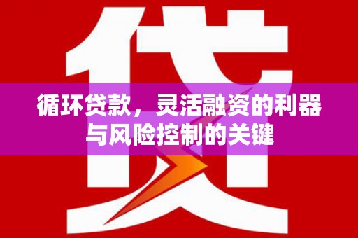白碱滩循环贷款，灵活融资的利器与风险控制的关键