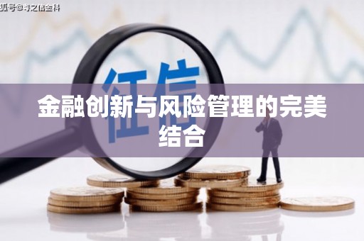 白碱滩金融创新与风险管理的完美结合