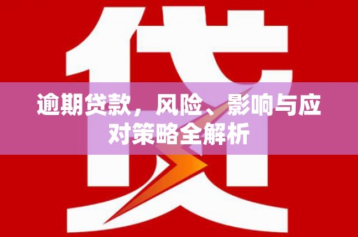 白碱滩逾期贷款，风险、影响与应对策略全解析