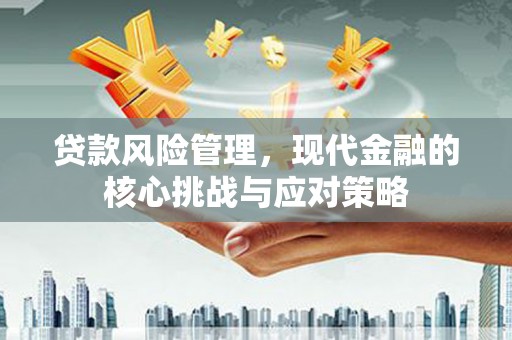 白碱滩贷款风险管理，现代金融的核心挑战与应对策略