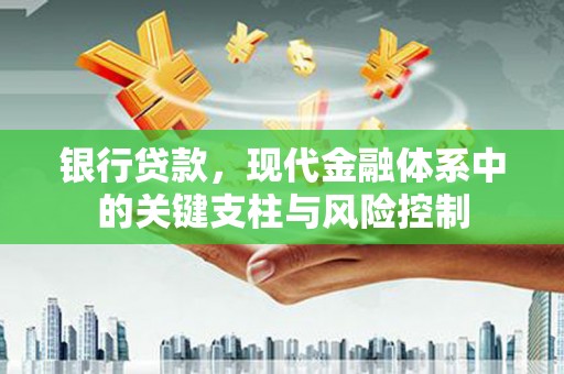 白碱滩银行贷款，现代金融体系中的关键支柱与风险控制