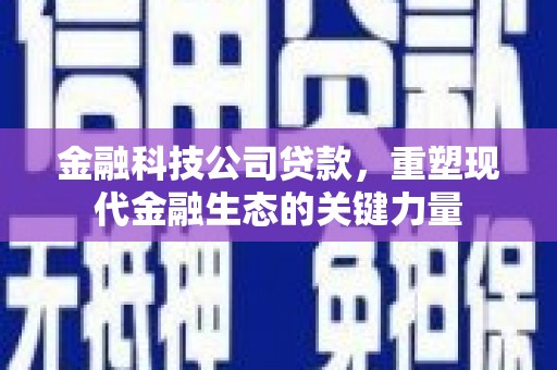 白碱滩金融科技公司贷款，重塑现代金融生态的关键力量