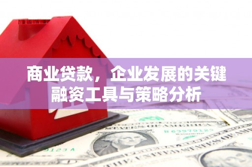 白碱滩商业贷款，企业发展的关键融资工具与策略分析