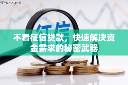 白碱滩不看征信贷款，快速解决资金需求的秘密武器