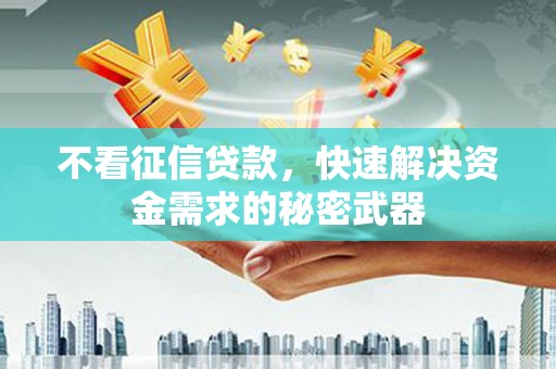 白碱滩不看征信贷款，快速解决资金需求的秘密武器