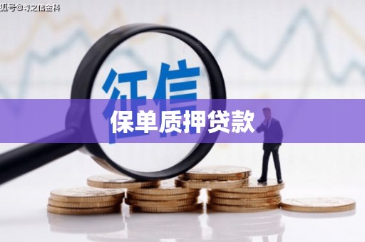 白碱滩保单质押贷款