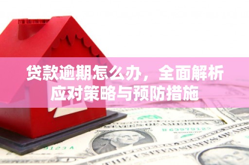 白碱滩贷款逾期怎么办，全面解析应对策略与预防措施