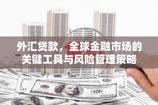 白碱滩外汇贷款，全球金融市场的关键工具与风险管理策略