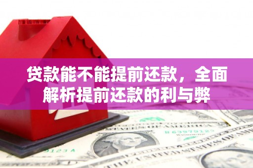 白碱滩贷款能不能提前还款，全面解析提前还款的利与弊