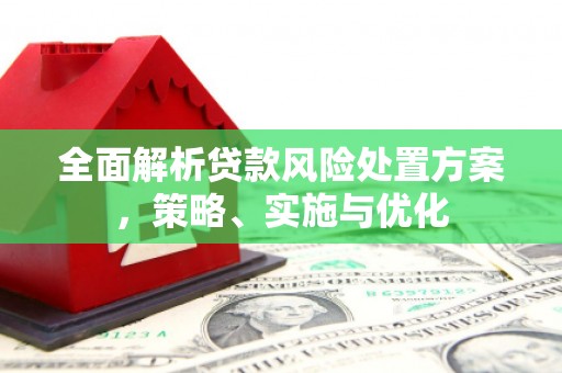 白碱滩全面解析贷款风险处置方案，策略、实施与优化