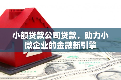 白碱滩小额贷款公司贷款，助力小微企业的金融新引擎