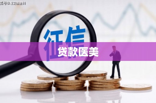 白碱滩贷款医美