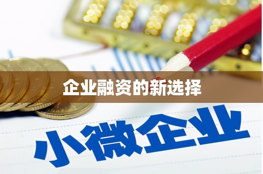 白碱滩企业融资的新选择