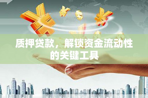 白碱滩质押贷款，解锁资金流动性的关键工具