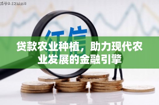 白碱滩贷款农业种植，助力现代农业发展的金融引擎