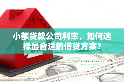 白碱滩小额贷款公司利率，如何选择最合适的借贷方案？