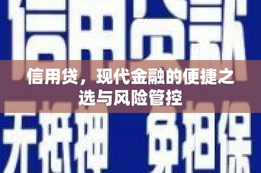 白碱滩信用贷，现代金融的便捷之选与风险管控