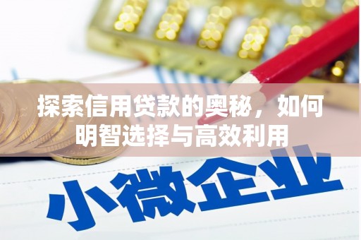 白碱滩探索信用贷款的奥秘，如何明智选择与高效利用
