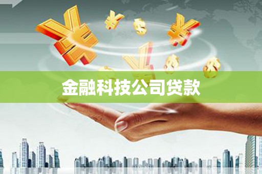 白碱滩金融科技公司贷款