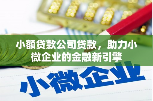 白碱滩小额贷款公司贷款，助力小微企业的金融新引擎