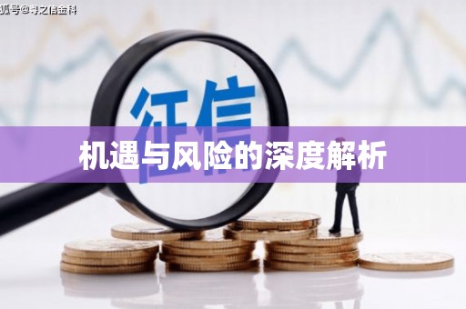 白碱滩机遇与风险的深度解析