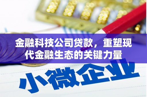 白碱滩金融科技公司贷款，重塑现代金融生态的关键力量