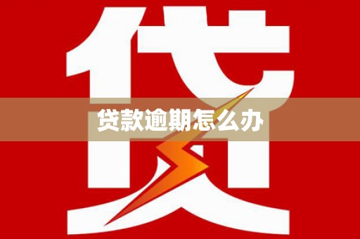 白碱滩贷款逾期怎么办
