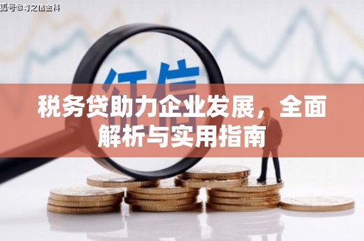 白碱滩税务贷助力企业发展，全面解析与实用指南
