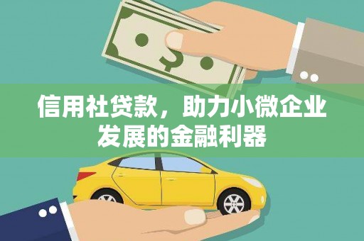 白碱滩信用社贷款，助力小微企业发展的金融利器