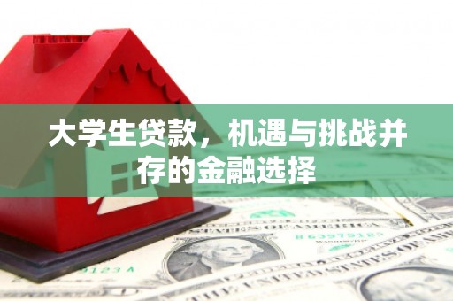 白碱滩大学生贷款，机遇与挑战并存的金融选择
