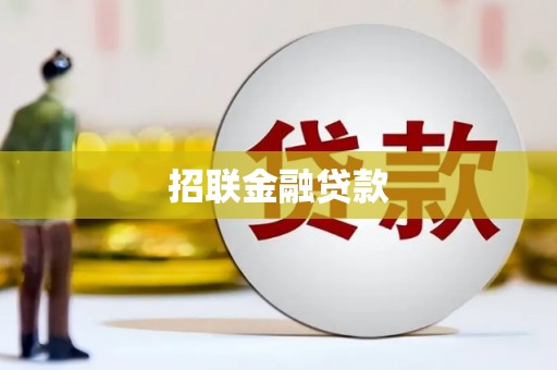 白碱滩招联金融贷款