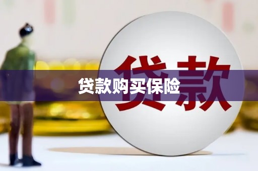白碱滩贷款购买保险